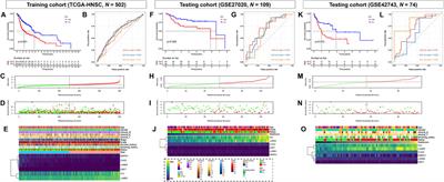 Novel prognostic matrisome-related gene signature of head and neck squamous cell carcinoma